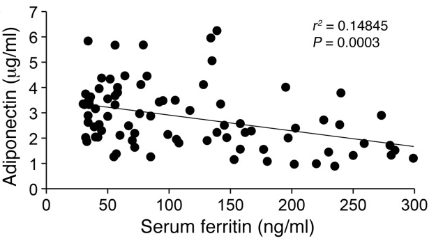 Chart relating ferritin levels to diabetes and metabolic measures.