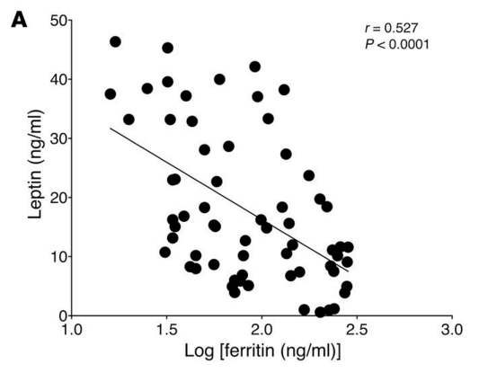 Chart of iron status against insulin sensitivity measures.